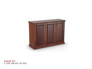 ISMC---EC---3T1-Cabinet-3T1