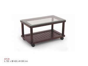 ISMC---ECT---021-CT-21