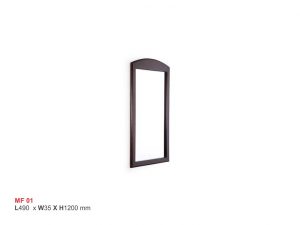 ISMC---EMF---01-MF-01