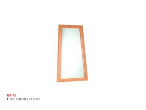 ISMC---EMF---16-MF-16