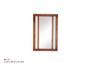 ISMC---EMF---17-MF-17