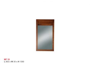 ISMC---EMF---18-MF-18