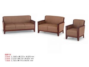 ISMC---ESSR---31--SSR-31