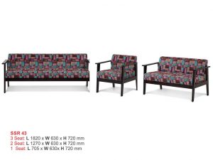 ISMC---ESSR---43--SSR-43